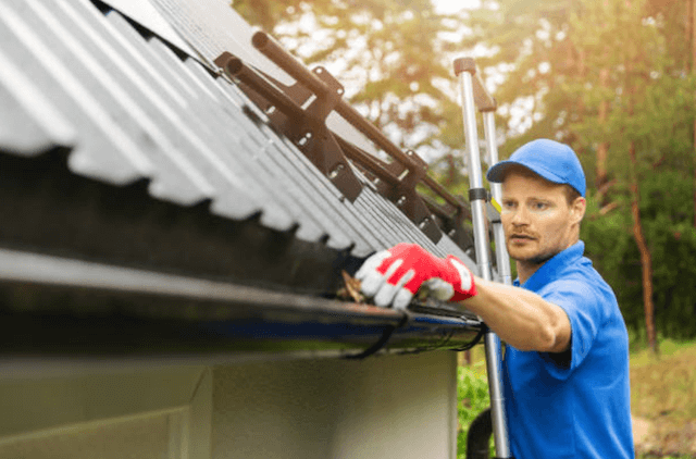 south field gutter service